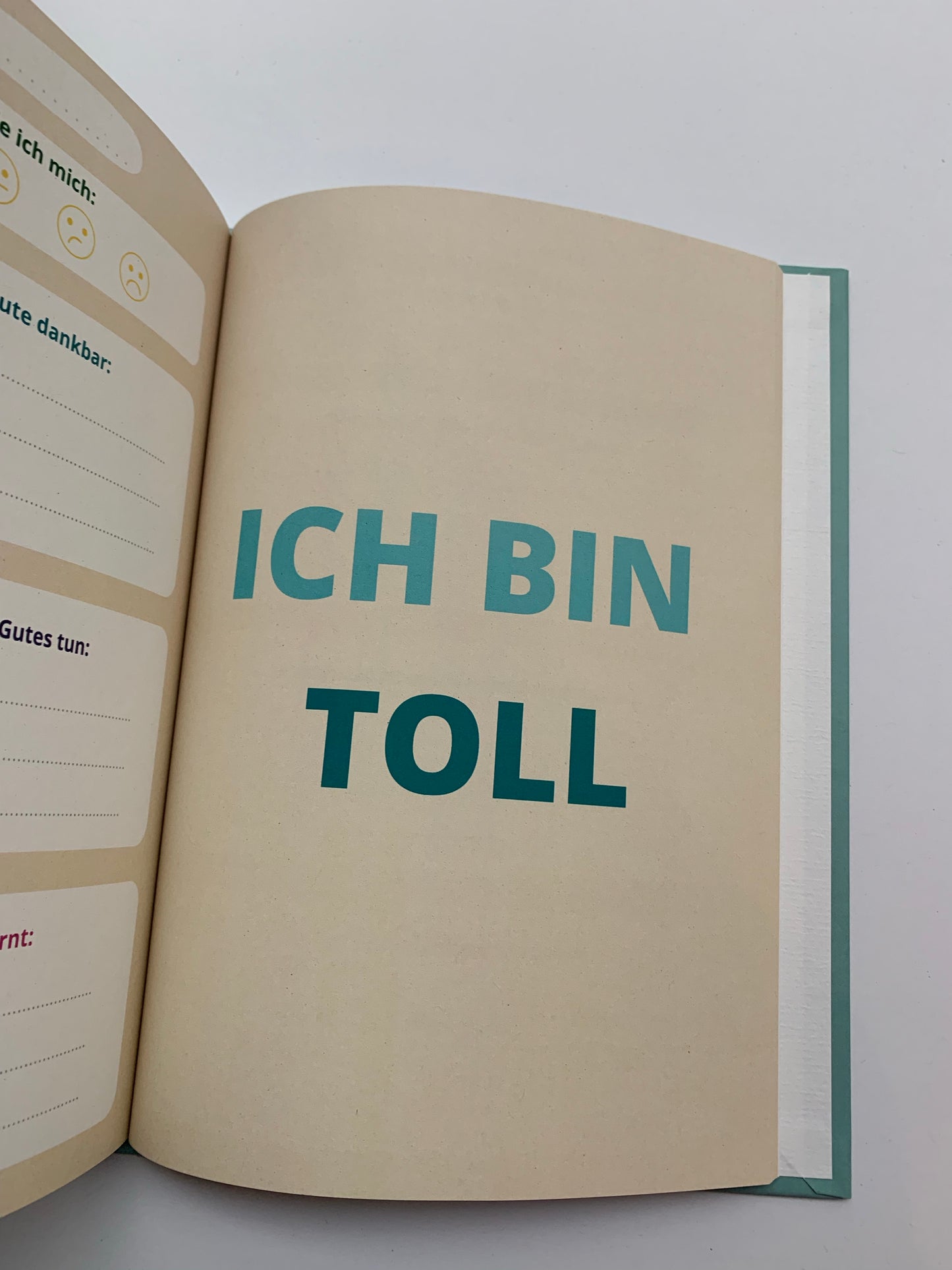 Dankbarkeitstagebuch für Kids