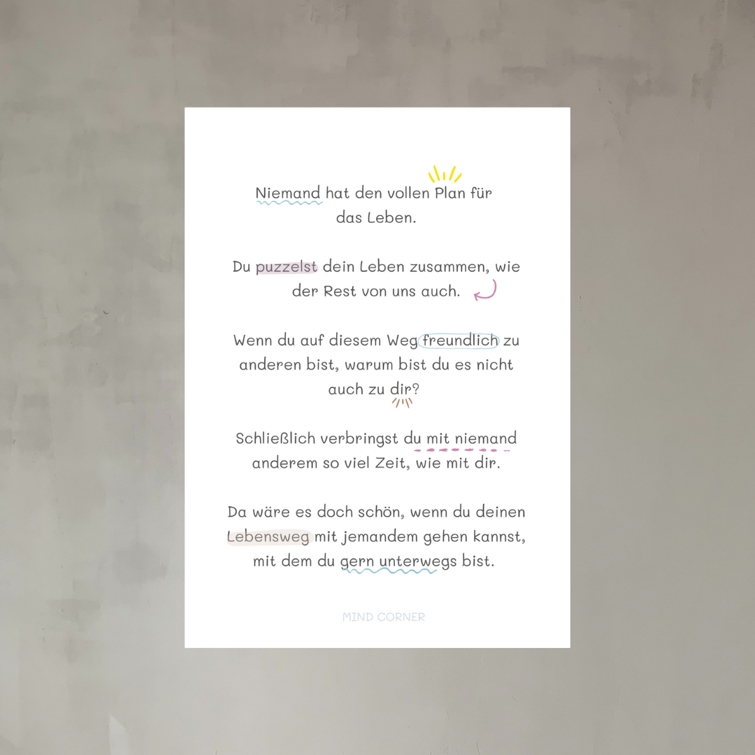 Poster DIN A4, Niemand hat den vollen Plan