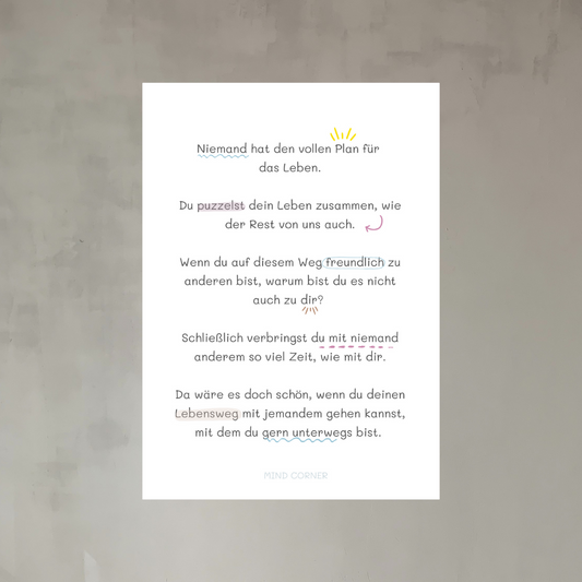 Poster DIN A4, Niemand hat den vollen Plan